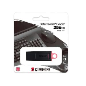 Pendrive Kingston / Sandisk Datatraveler Exodia Usb 3.2 256 Gb
